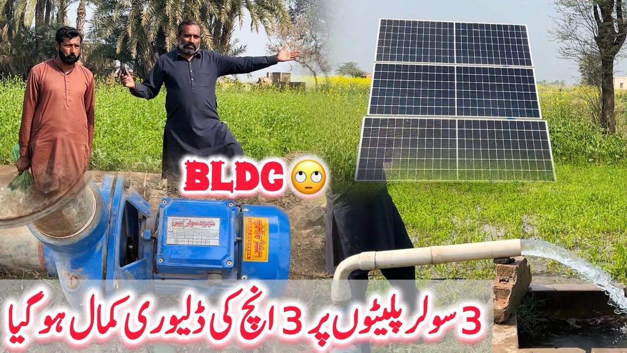 3 سولر پلیٹوں پر 3 انچ کی ڈلیوری کمال ہو گیا BLDC نے کسانوں کی زندگیاں آسان کر دیں