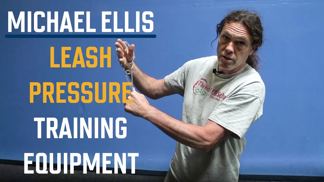 Michael Ellis on Leash Pressure Training Equipment