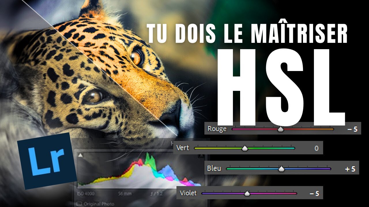Domine la retouche des couleurs avec le panneau HSL dans LIGHTROOM
