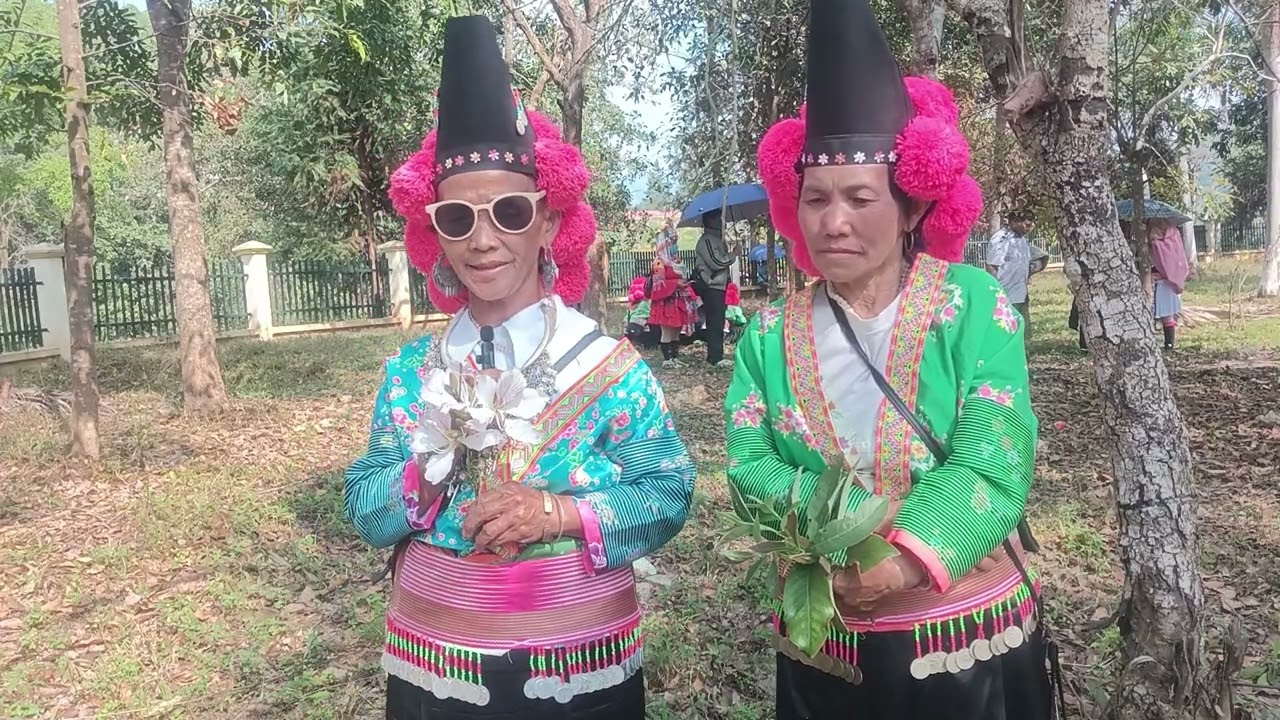 24 tháng 2, 2026
