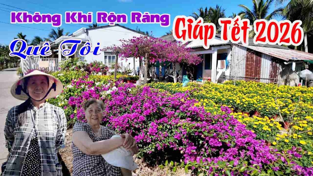 👉 Giáp Tết Ở Miền Tây – Vùng Quê Tưng Bừng, Người Người Háo Hức Đón Xuân!- SÓC TRĂNG QUÊ HƯƠNG TÔI
