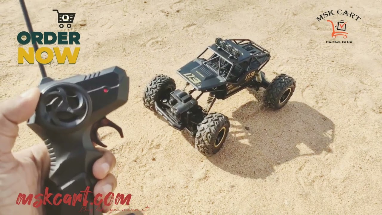 Team Maxis 03 rechargeable RC Car buggy black 2.4ghz Remote Control car four wheel