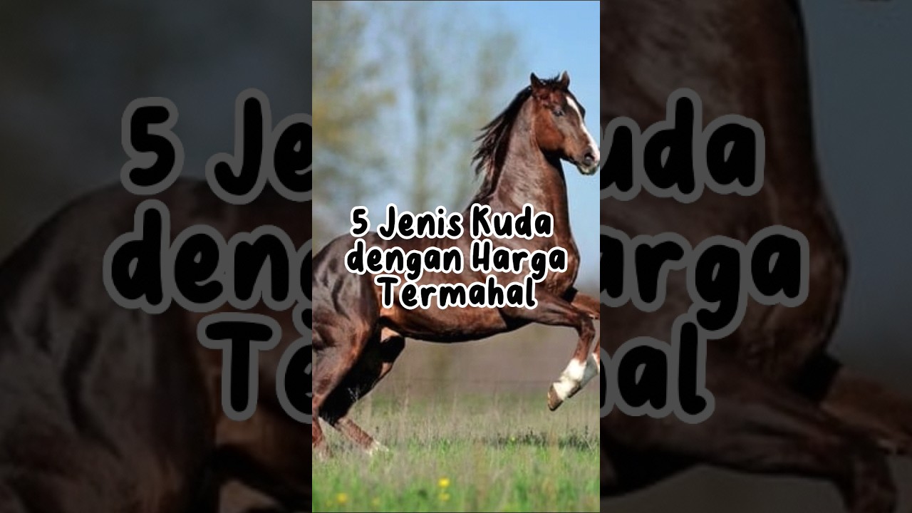 5 Jenis Kuda dengan Harga Termahal #shorts