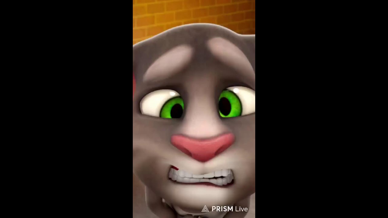 talking tom game | tom paglagya 😅#talkingtom #shortslive