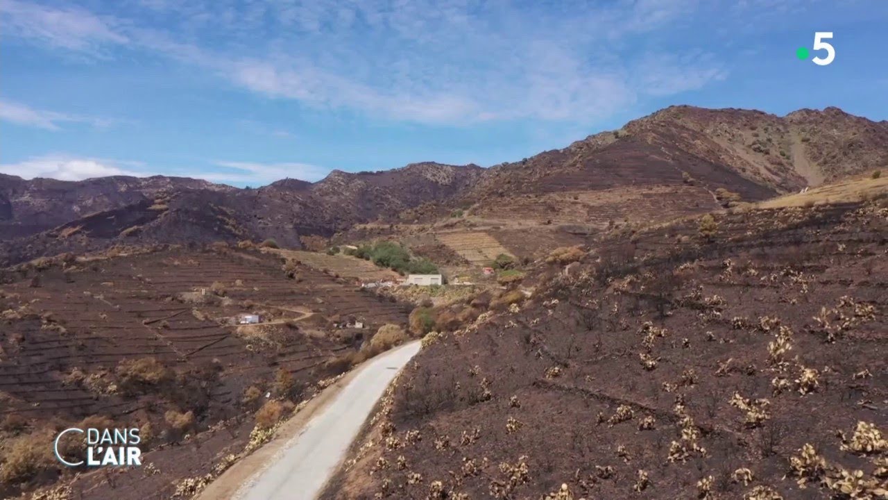 Les Pyrénées orientales, durement touché par le changement climatique -reportage #cdanslair 27052023