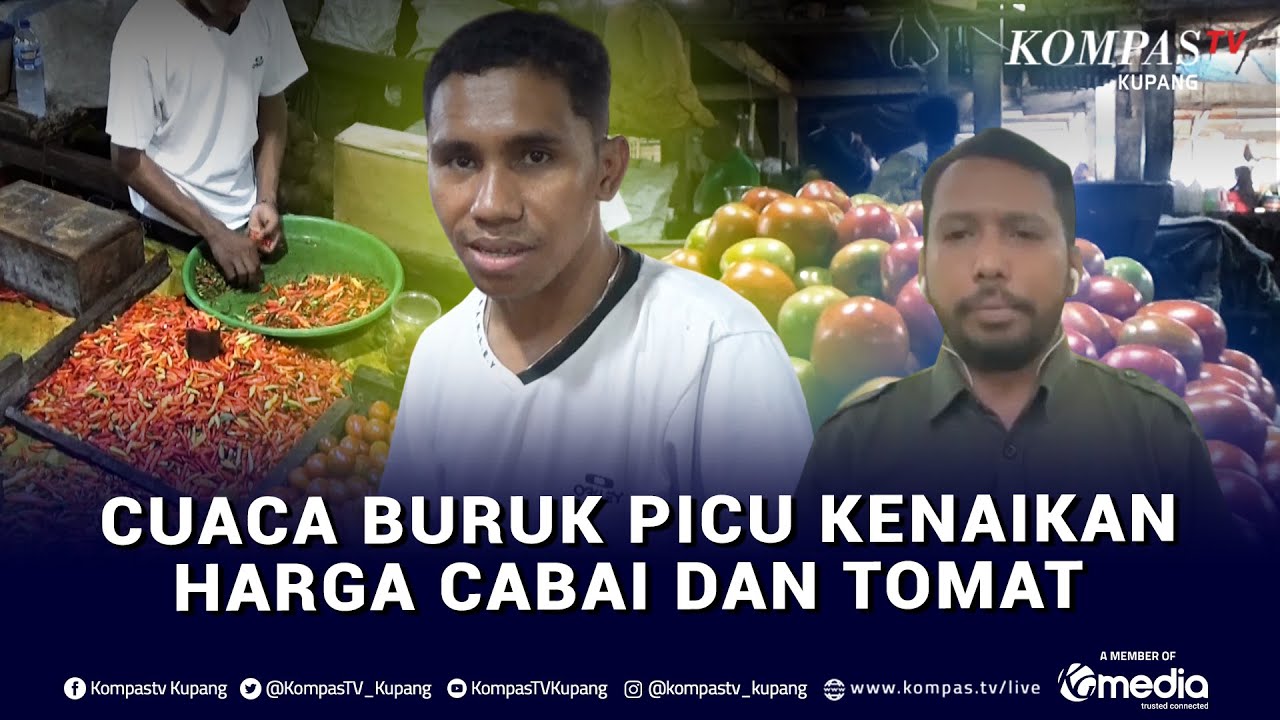 Cuaca Buruk Picu Kenaikan Harga Cabai Dan Tomat Di Pasar Tradisional Kota Kupang