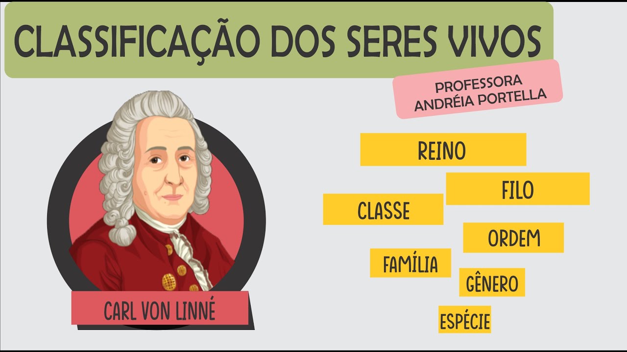 Classificação dos Seres Vivos - 7º ano