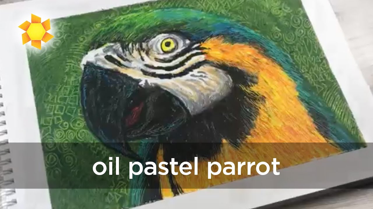 How to draw a Parrot in Oil Pastel
