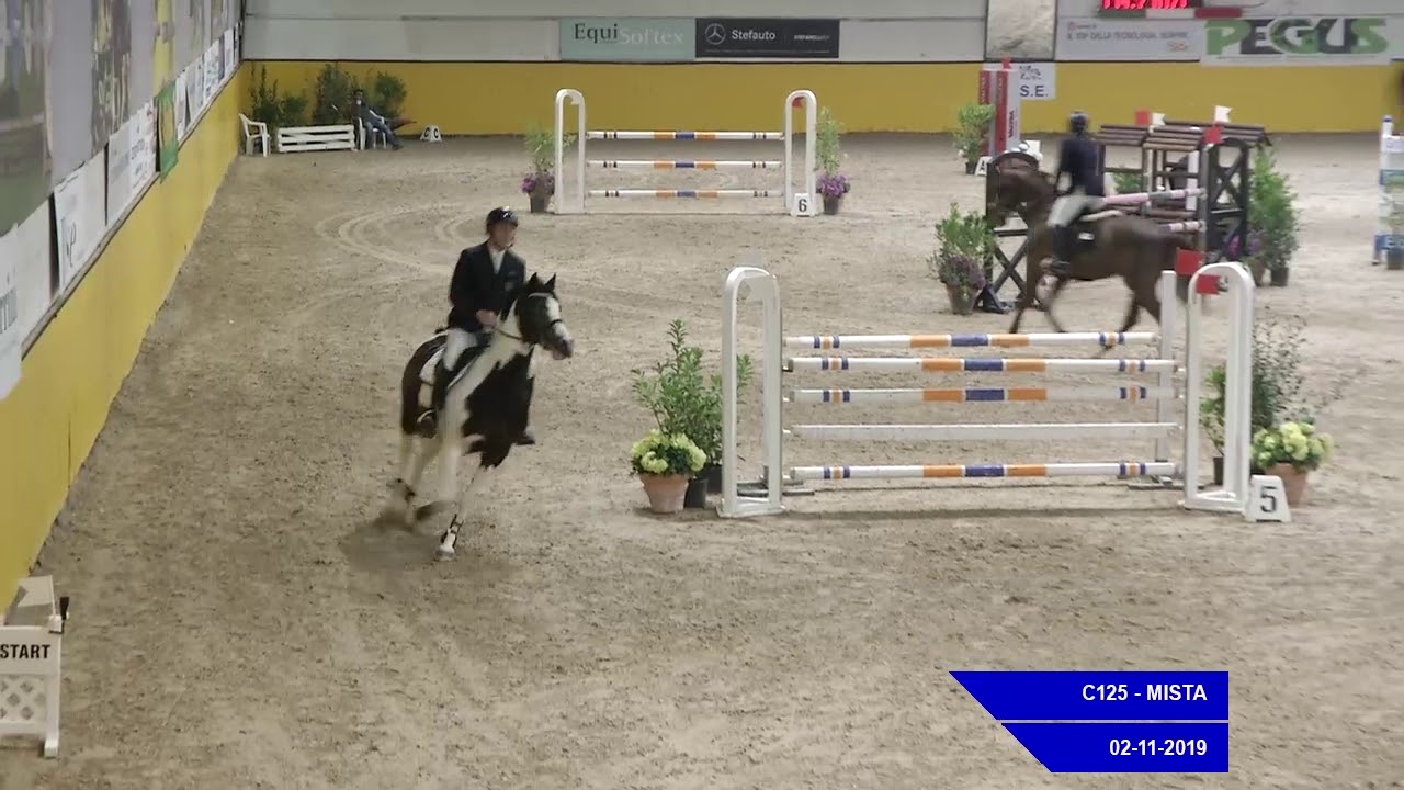 Giacomo Casadei e Anakin 2 nov  2019 barrage