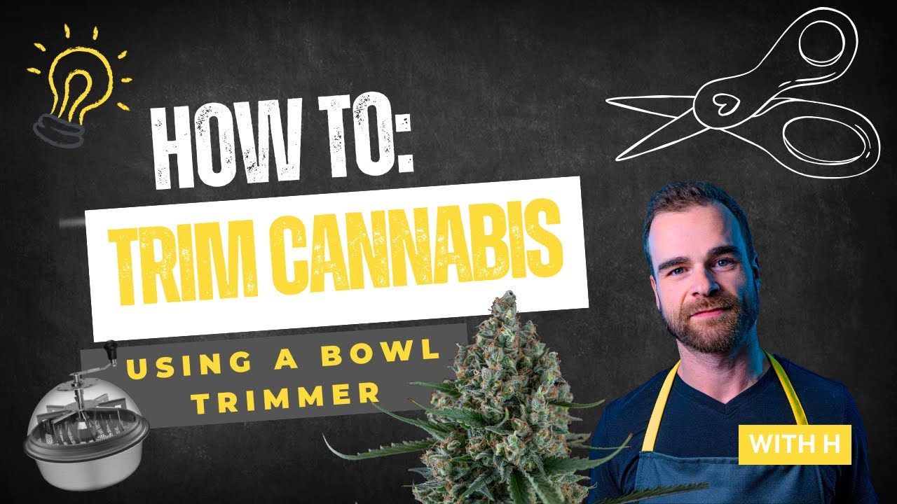 How to Trim Using a Bowl Trimmer