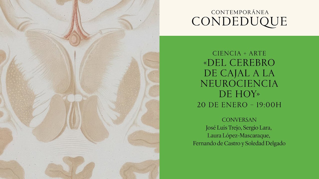 PANTALLAS + CULTURA EXPANDIDA  «Del cerebro de Cajal a la neurociencia de hoy»
