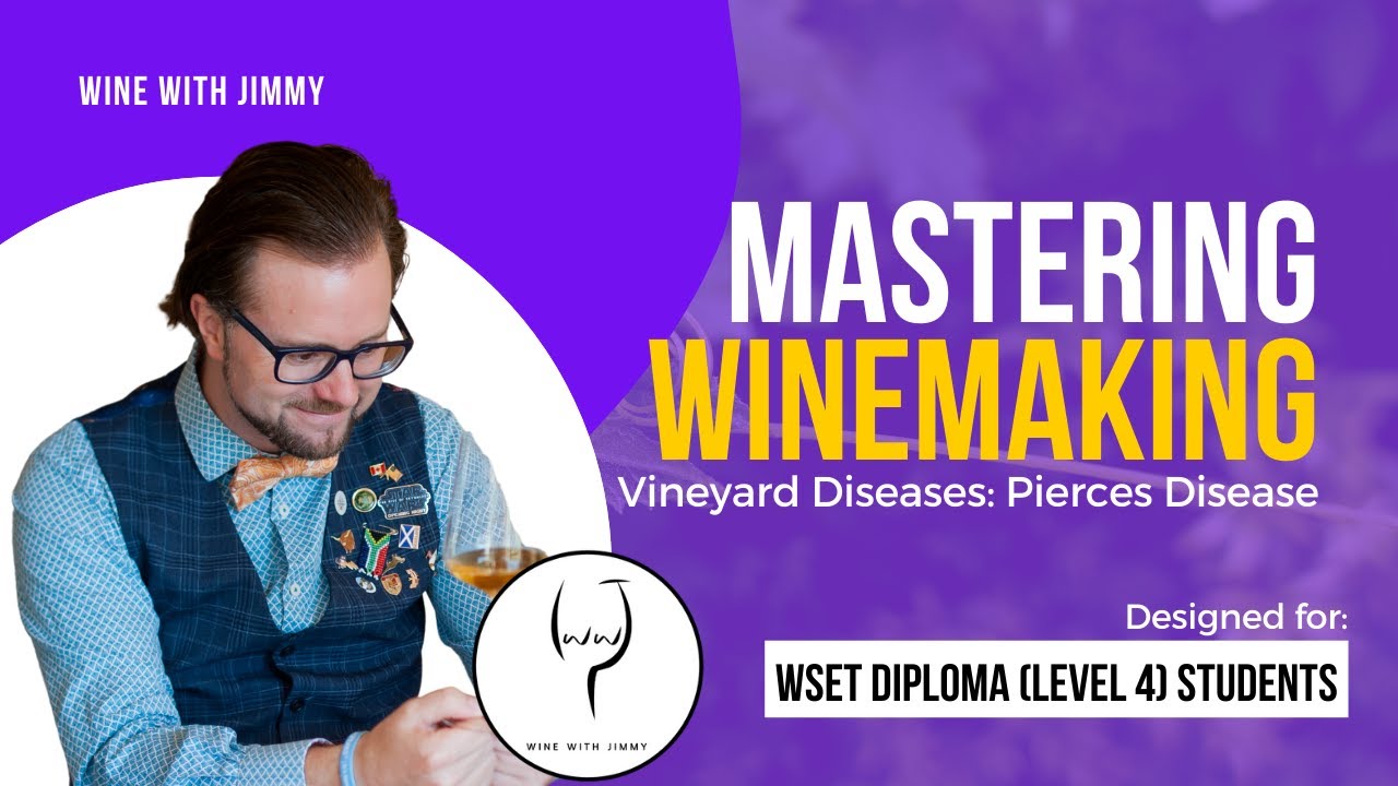 WSET, уровень 4 (диплом WSET). Борьба с бактериальными заболеваниями виноградников &ndash; болезнь Пирсеса