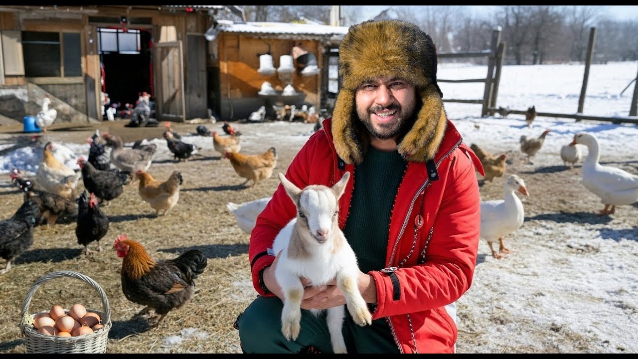 Yavru Keçiyi İlk Kez Kucağıma Aldım… Pişman Oldum! 😅🐐 | Tavuk Yumurtalarını Topladım 🥚