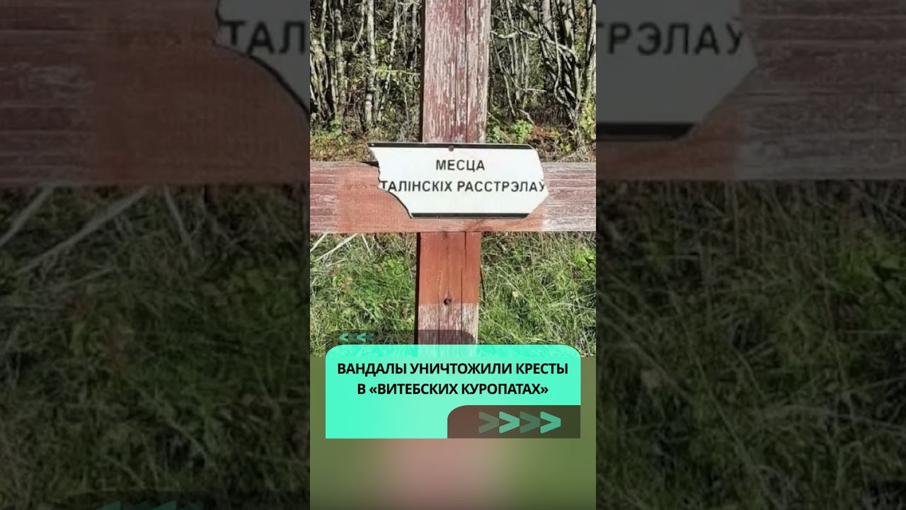 Вандалы уничтожили кресты в &laquo;витебских Куропатах&raquo;  #беларусь #новости