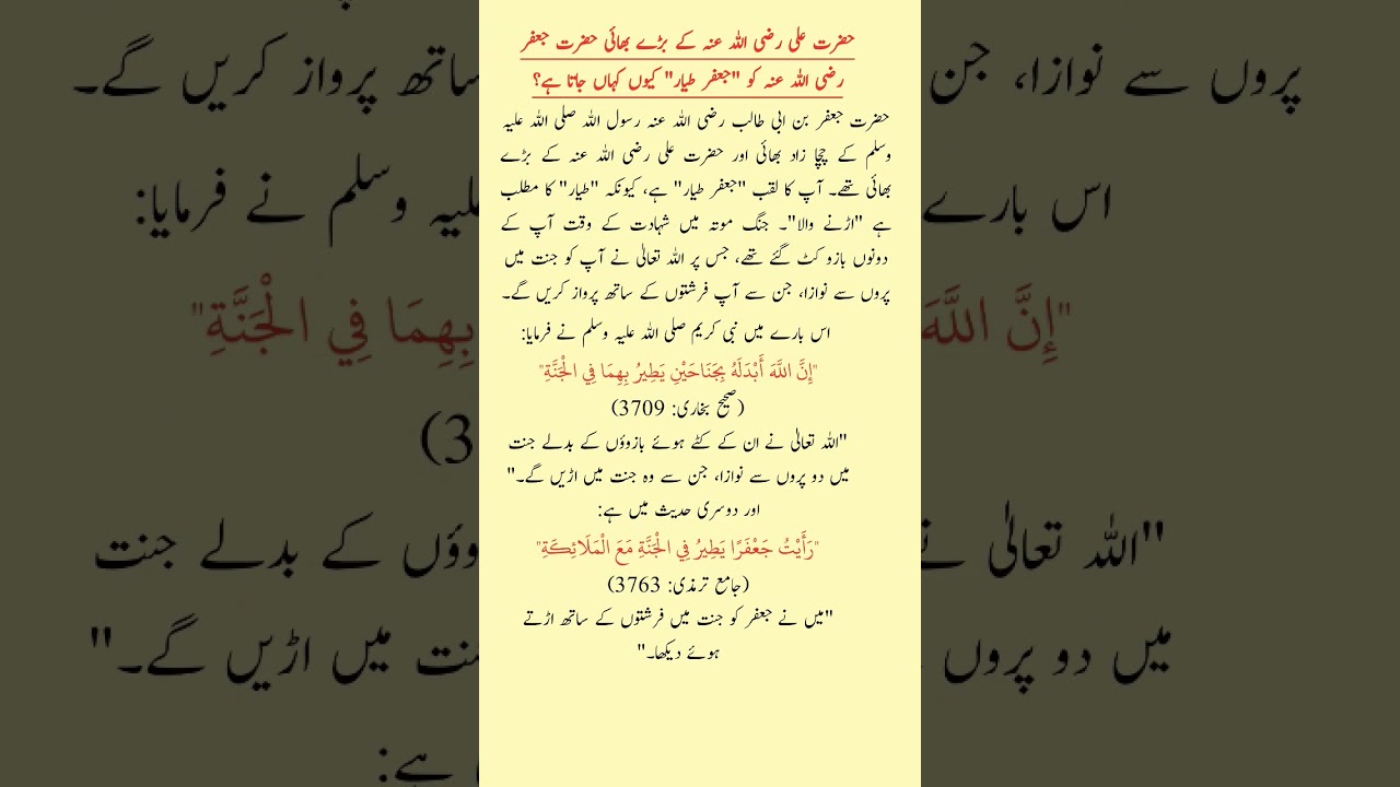 Who Was Ja'far ibn Abi Talib? | The Story of Ja'far Tayyar #shorts