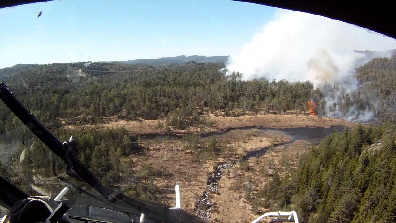 Skogbrann Gyland / Forestfire Gyland Norway