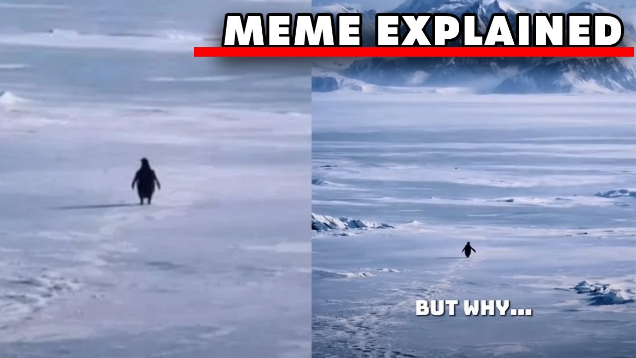 The &ldquo;Nihilist Penguin&rdquo; Meme Full Explanation