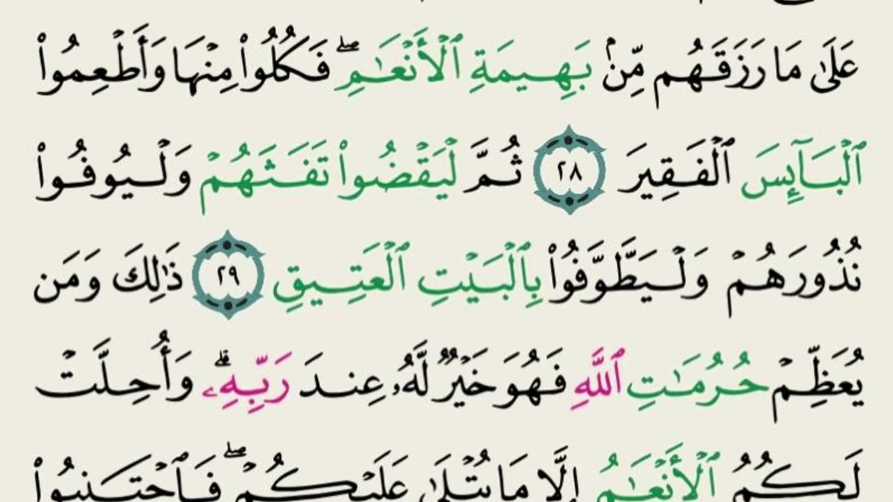 رقم الدرس  336 آية 24 30 تفسير سورة الحج