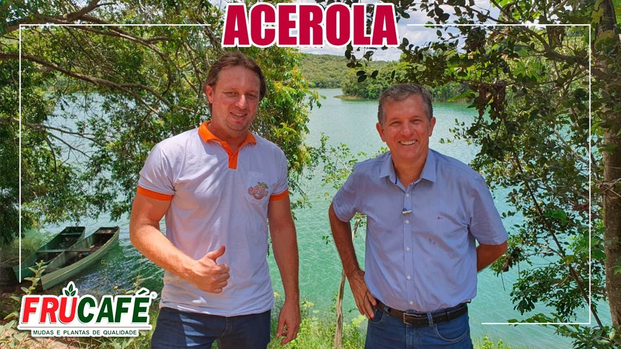 ACEROLA - Poda de Formação e Indicação de Cultivares