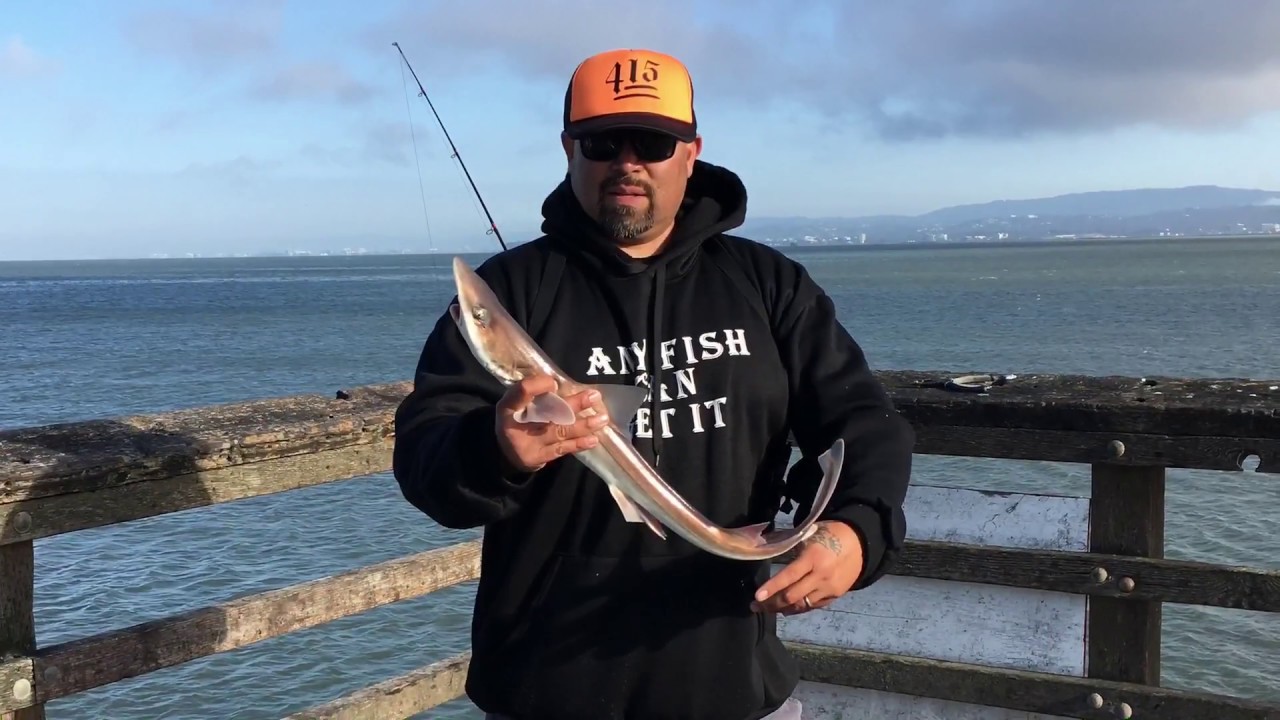 Oyster Point Pier Fishing