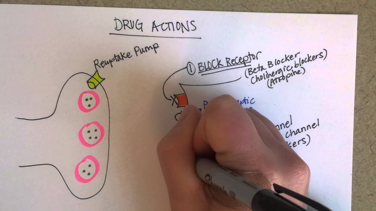 Drug Actions, Part 1