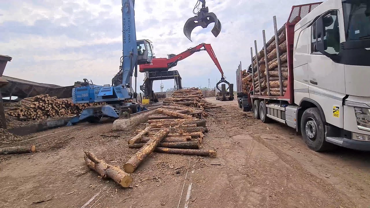 Terex Fuchs 360 MHL Loading timber Scania R580 XT , Volvo H061 , New Holland T7 225 mantsimen 95