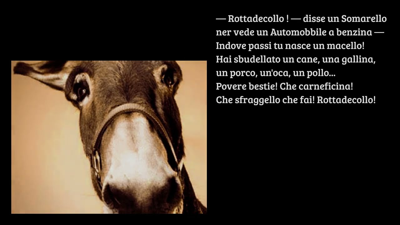 TRILUSSA - L'automobbile e er somaro - Voce: Paola Piali - Videomaker: Mario Michele Orlandi