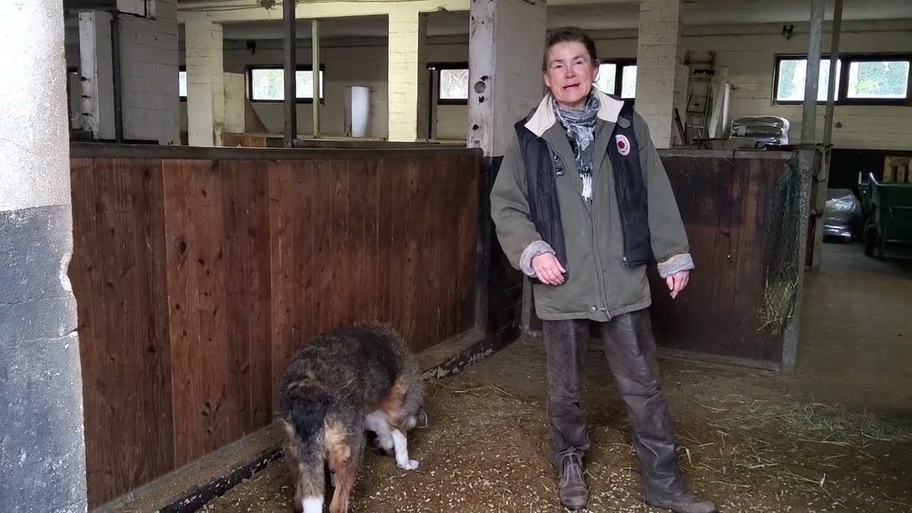 Organisation der HIPPODUNG-Box