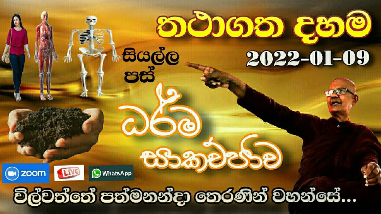 wilwaththe pathma theraniyo