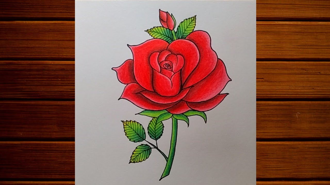 How to draw Rose Step by step| Rose Flower drawing| Valentine's day Special drawing|Red Rose Drawing