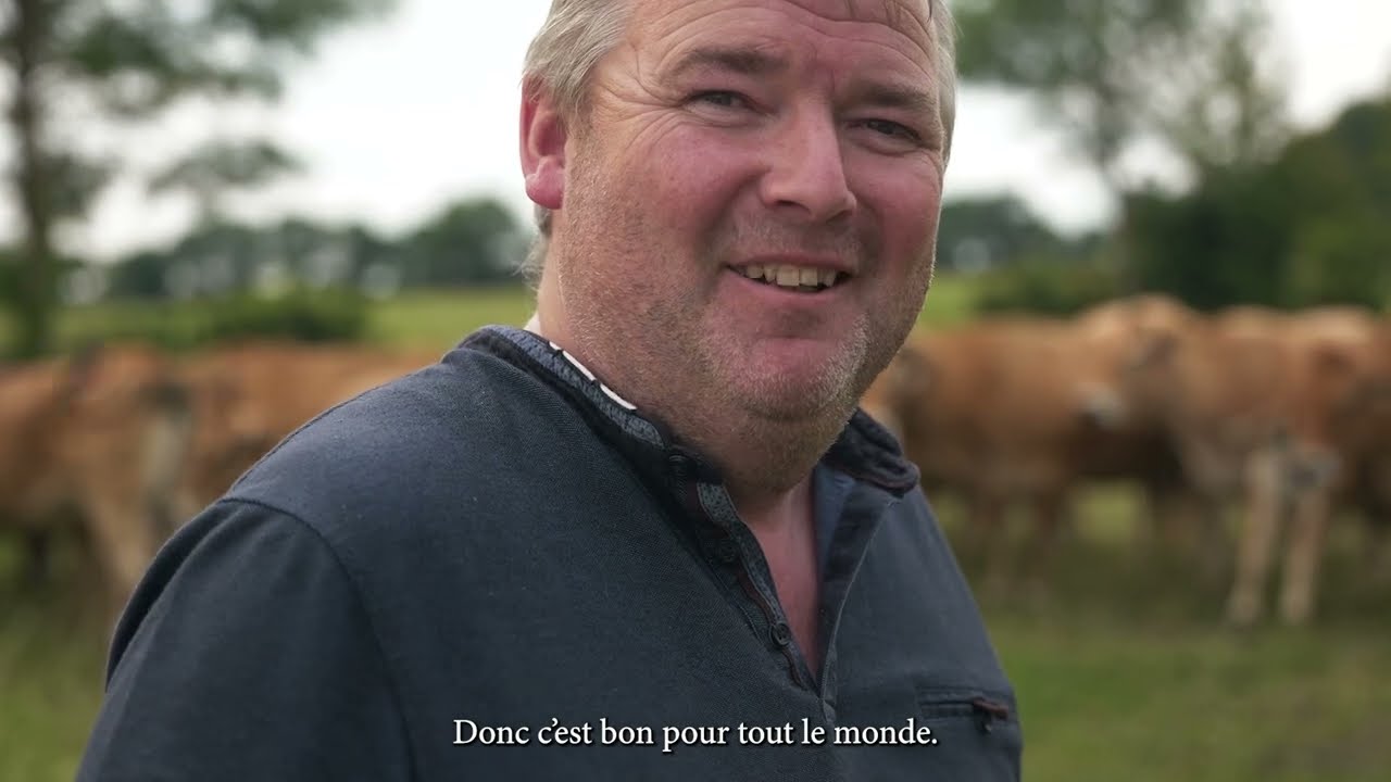 Le bœuf de race Parthenaise, Leclerc Saint Pol de Léon