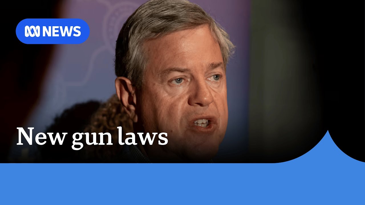 Mental health clinicians to flag ‘high-risk’ patients in gun licence crackdown | ABC NEWS