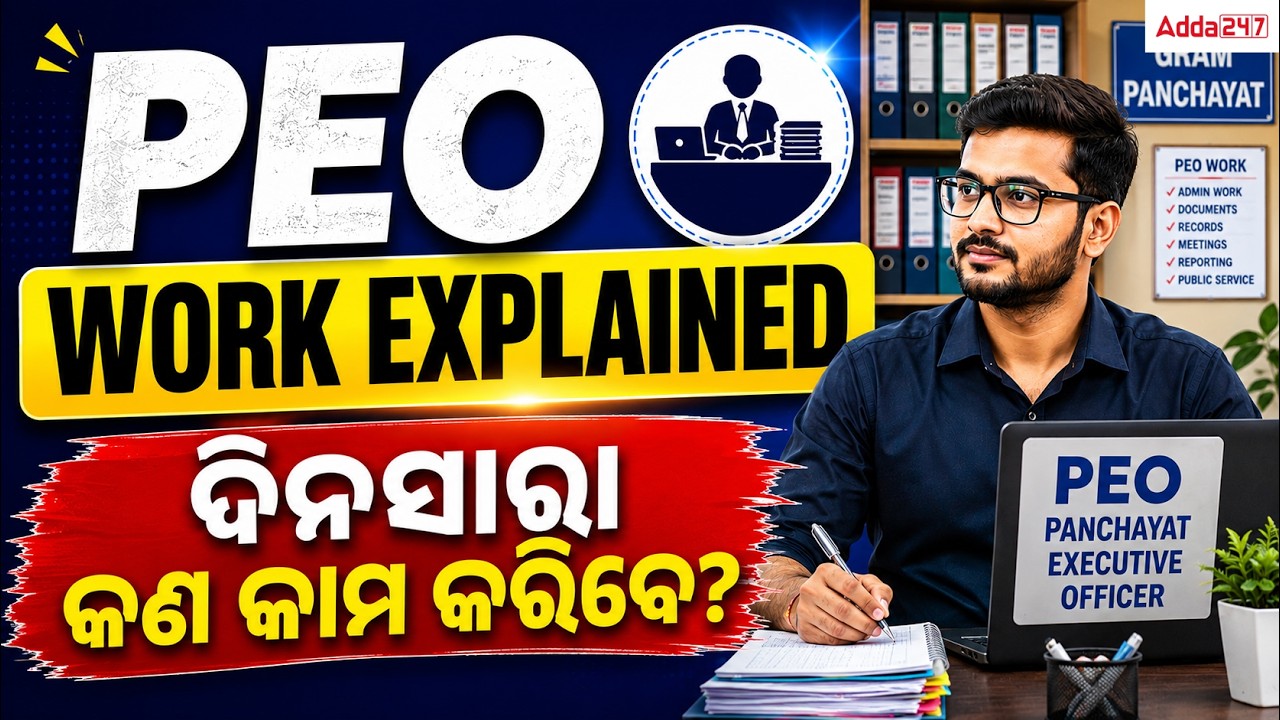 PEO Work Profile | Daily Work of Panchayat Executive Officer in Odisha | PEO Vacancy 2026