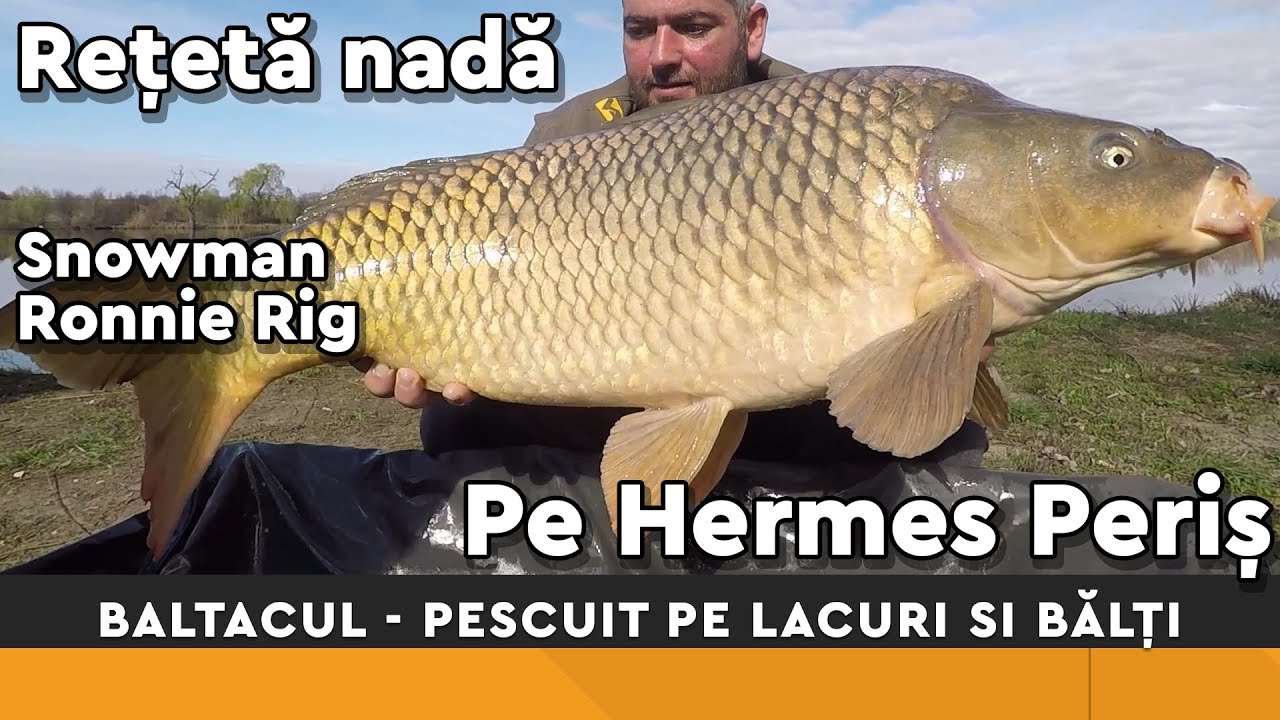 Cunostinte de baza in pescuitul crapului pe lacuri si balti - Nada de primavara si Monturi!