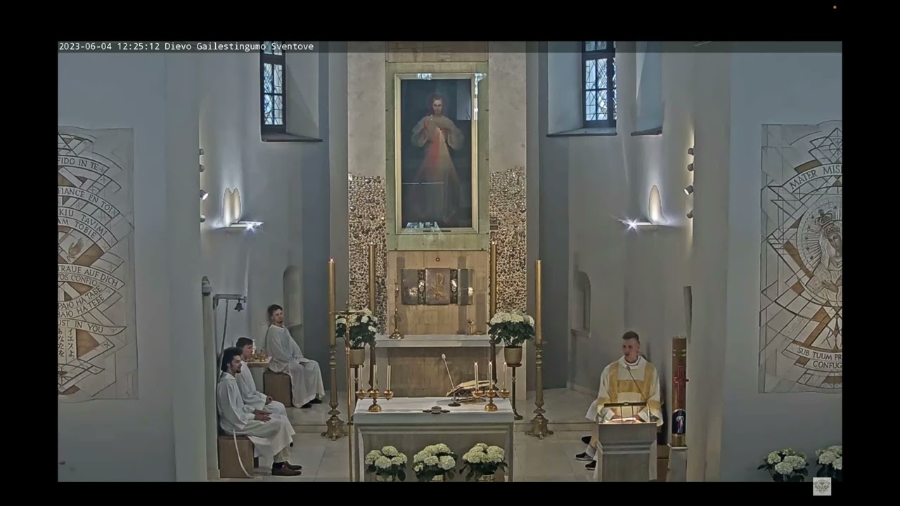 Švč. Trejybės iškilmė - diak. Linas Braukyla