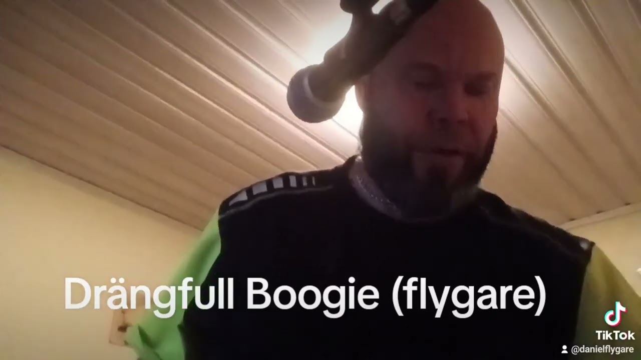 Dr&auml;ngfull boogie (flygare)