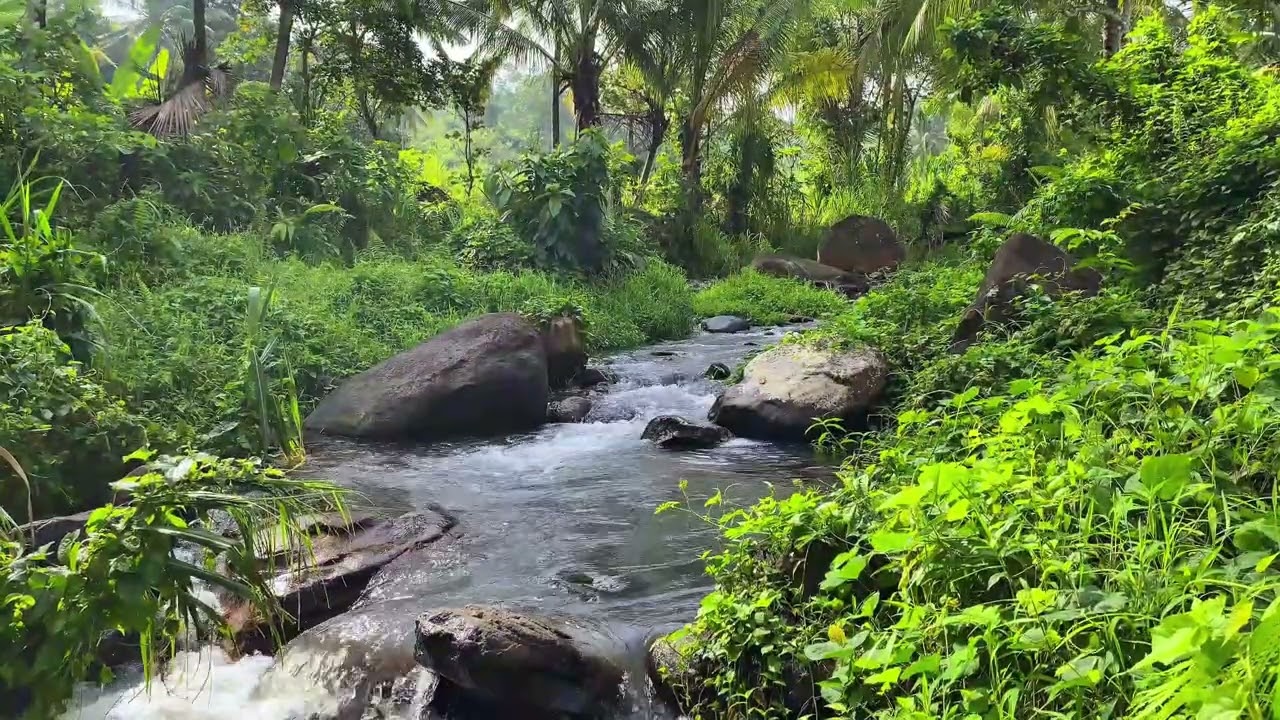 😌 Mind Detox Session | Peaceful River Sounds For Anxiety Relief