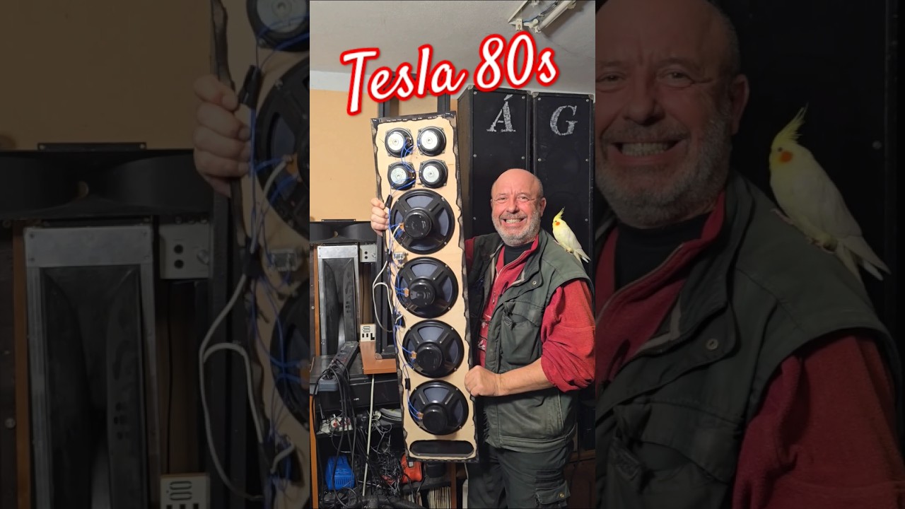 80s Vintage TESLA SPEAKERS - Professional Speaker Box RS 516b FULLRANGE ARO 667 & TWEETER ARV 161