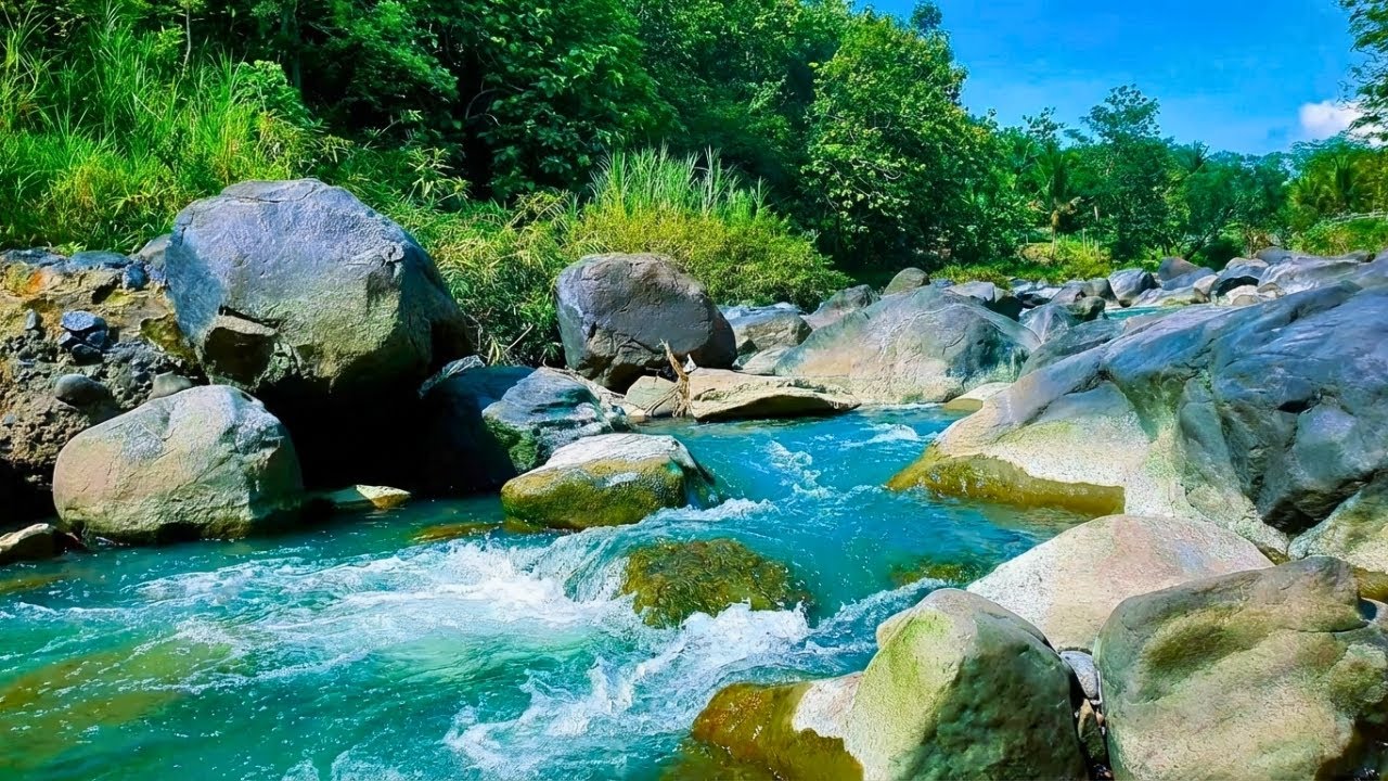River Sounds – Gentle Water Flowing in Nature