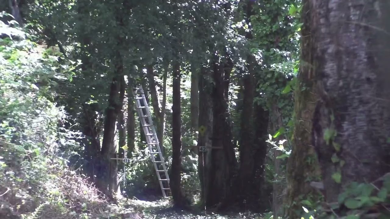 TwangCam East Devon GP 2022