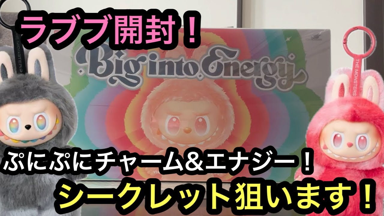 ラブブ開封！ぷにぷにチャーム&エナジー購入！エナジーでシークレット狙います！[ラブブ][Labubu][popmart]