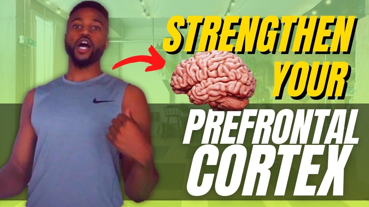 How To Strengthen Your Prefrontal Cortex