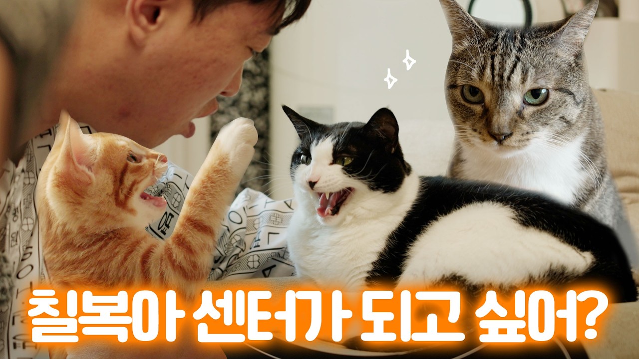 고양이 걸그룹 불화설💥춘봉첨지와 칠복이의 미래는?ㅣ미야옹철의 가정방문 언더월드 편