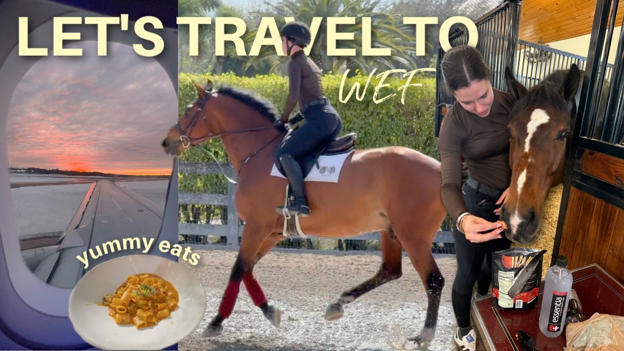 WEF VLOG #8: riding a new horse + jumping London!
