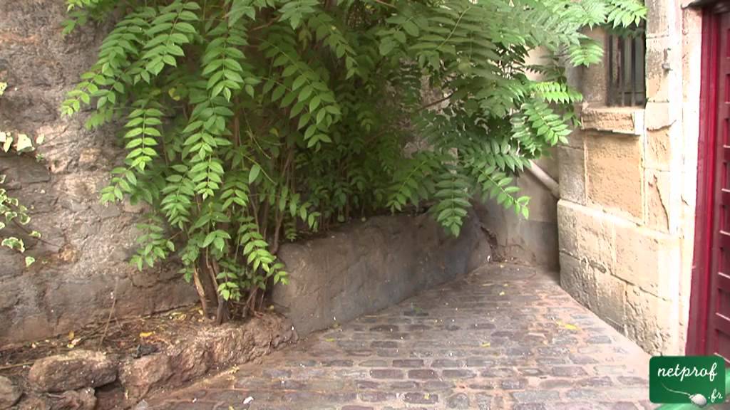 5 La voierie Romaine à Lutèce