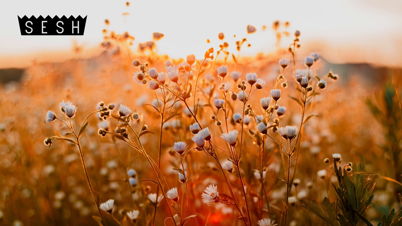 BONES - JonathanTaylorThomas | SLOWED TO PERFECTION