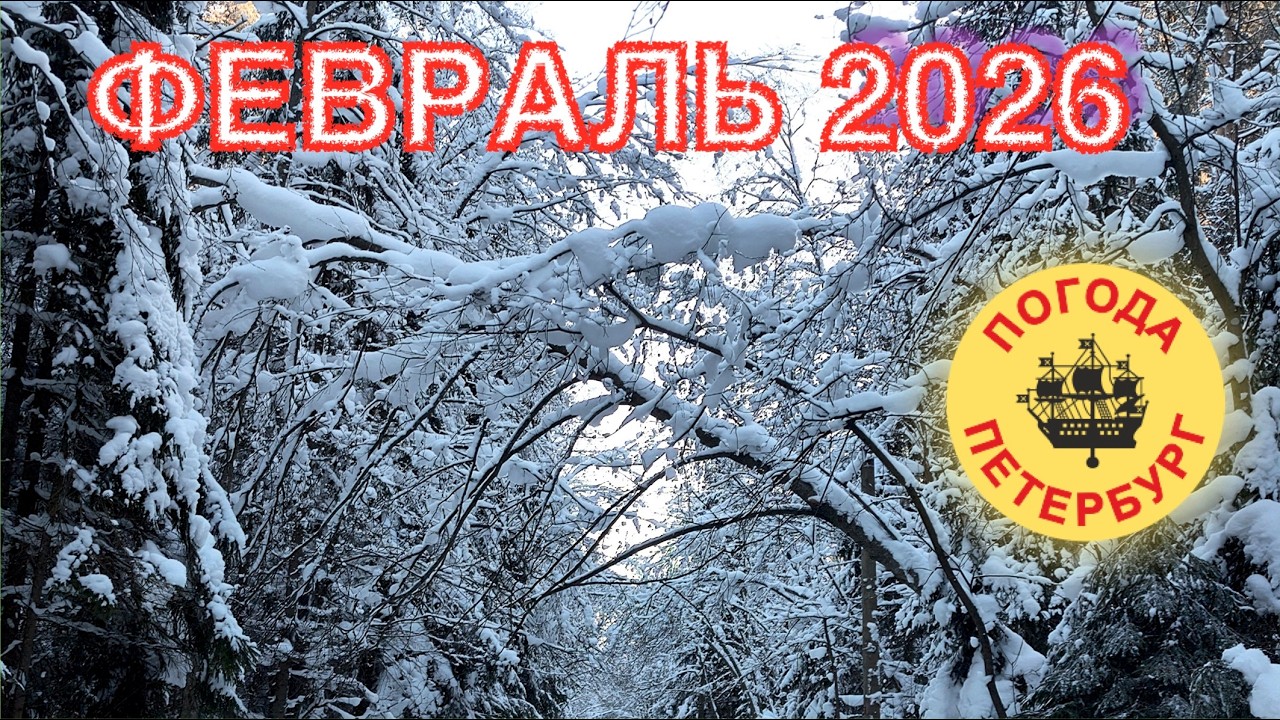 2026.02.01. Погода Петербург. 19:04. -17°. Без долгих разговоров.