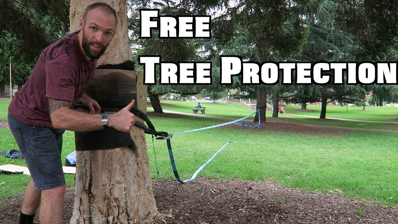 Free Tree Protectors - Slacklining Tips and Tricks