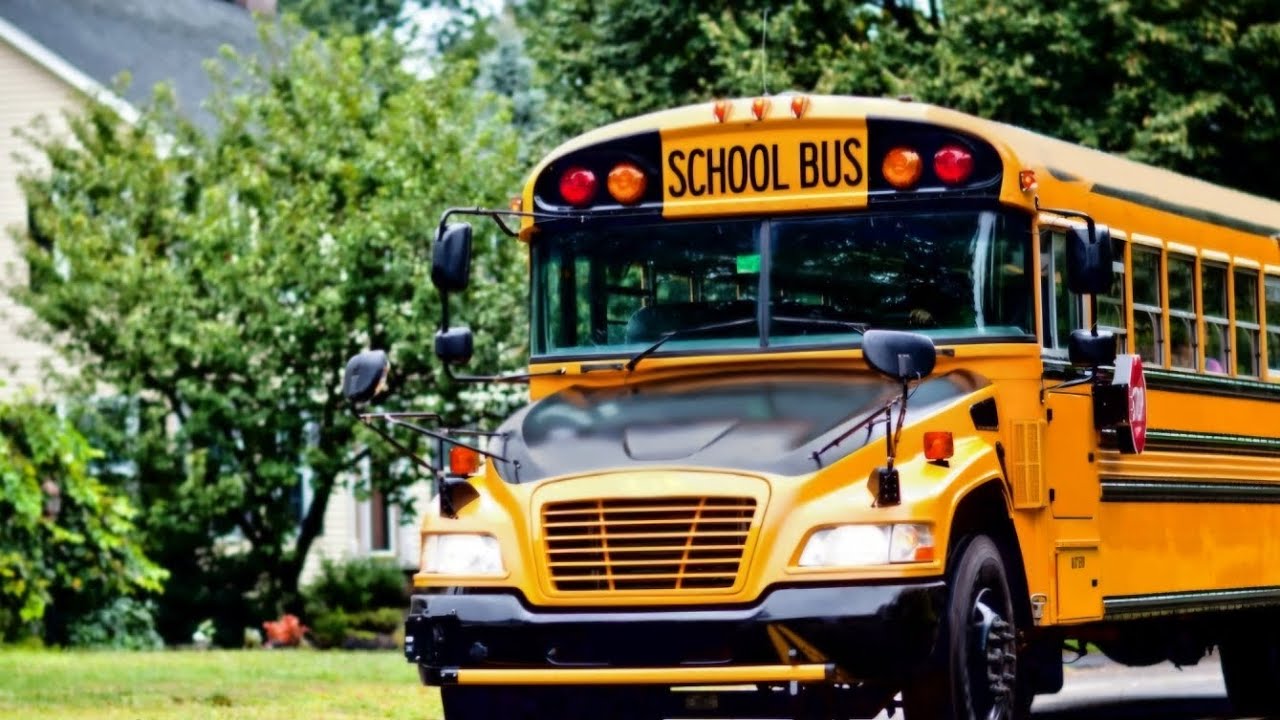 My experience as a school bus driver...don't do it