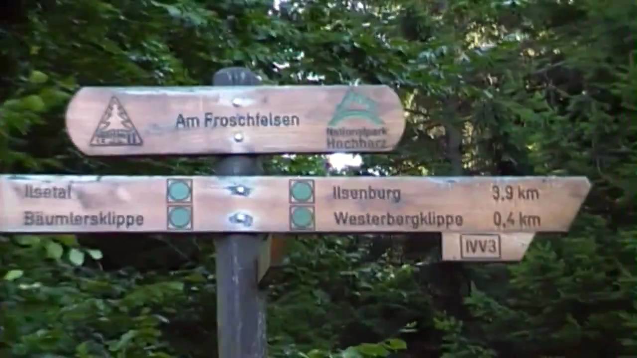 Ein Specht am Froschfelsen im Harz - Stempelstelle 5